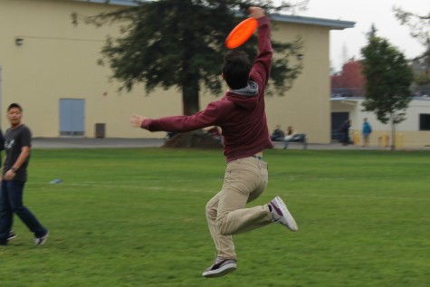 It’s time for recreational sports