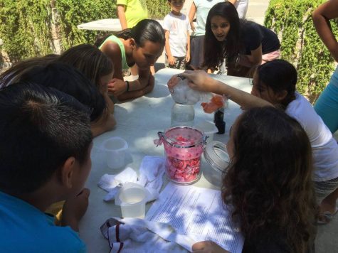 WiSTEM Raises Funds to Send Girls to Science Camp