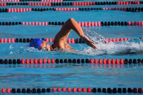 Swimming and Diving Places High at States