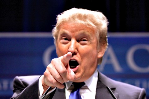 Donald Trump: One-of-a-kind candidate