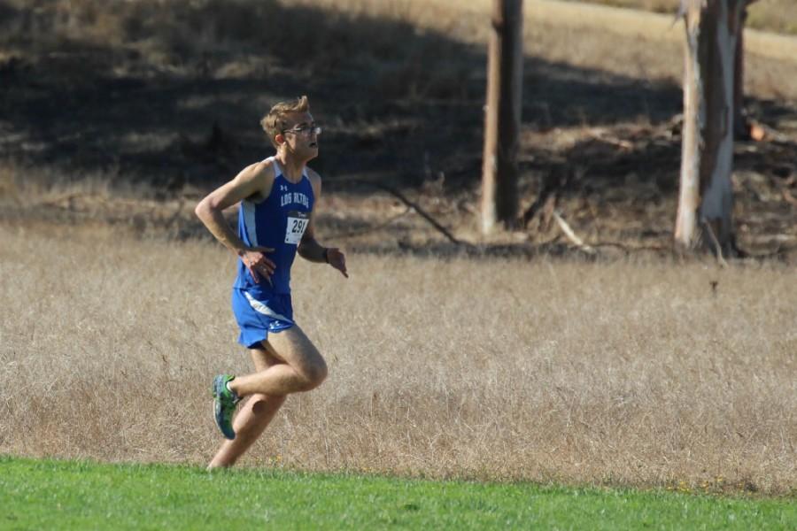 Junior Viktor Niemec runs in a meet at Baylands park. Both the girls and boys cross country teams are hopeful for success in the CIF State Championships. Photo courtesy Tracey Young.