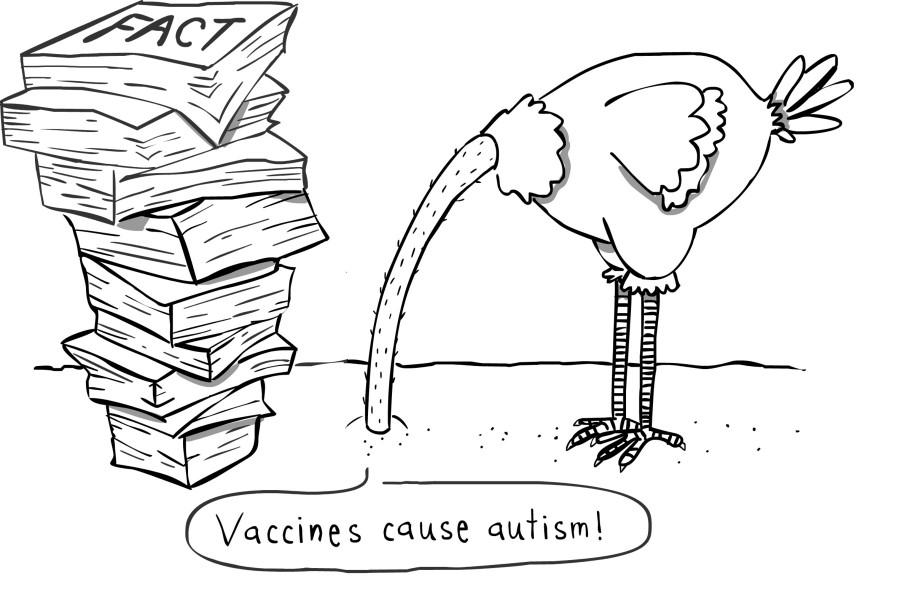 Casualties of misunderstanding: The Vaccine Scare