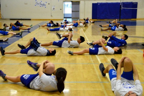 The P.E. Balance