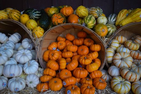 Pumpkin Spice’s Rise to Fame