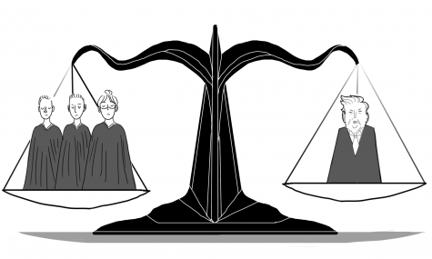 Circuit Court Ruling Highlights Checks and Balances