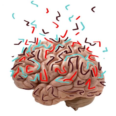 The Hard-Hitting Truth About Concussions