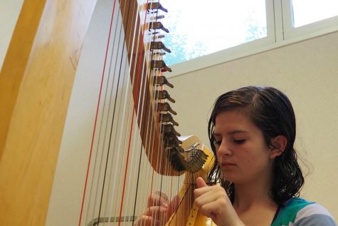 Harp Lend a Helping Hand