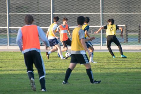 Boys soccer bound for successful season