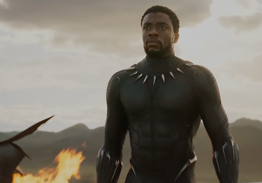 Black Panther: A Triumphant Global Introduction to Black Power
