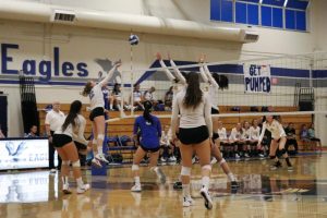 Eagles drop rivalry volleyball game to Mountain View