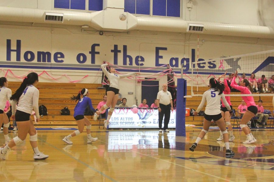 Los Altos Volleyball beats Palo Alto in annual Dig Pink game