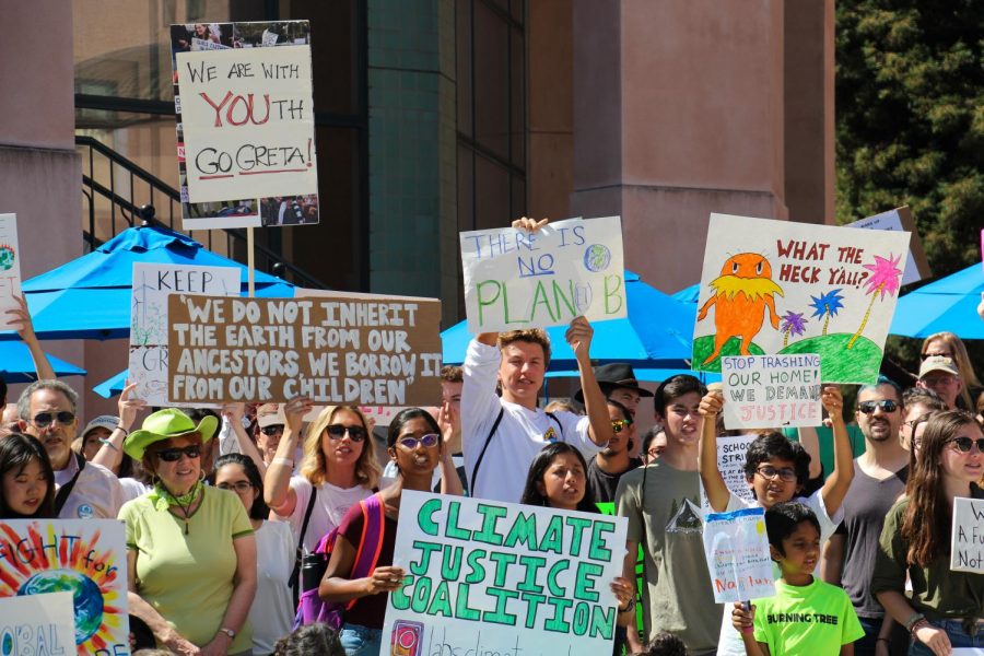 Los Altos students strike for climate advocacy