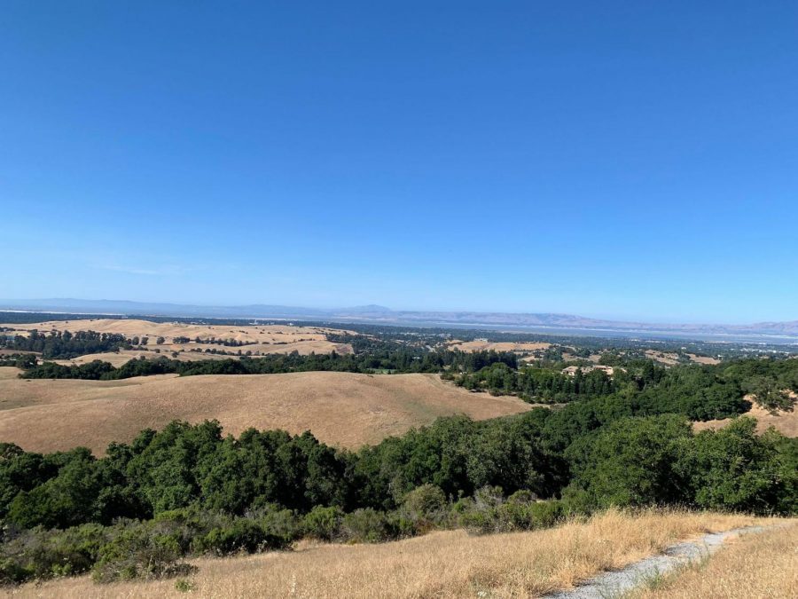 A view of the bay from the top of Vista Hill which sits near the park entrance. Spots like this set the park apart from other nature preserves in the area. It’s a shame that non-Palo Altans are barred from entering the park, with the threat of a misdemeanor.