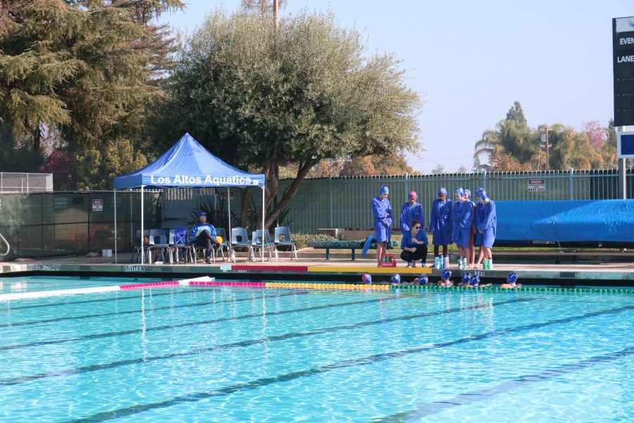 Varsity girls water polo defeated in CCS semi-finals