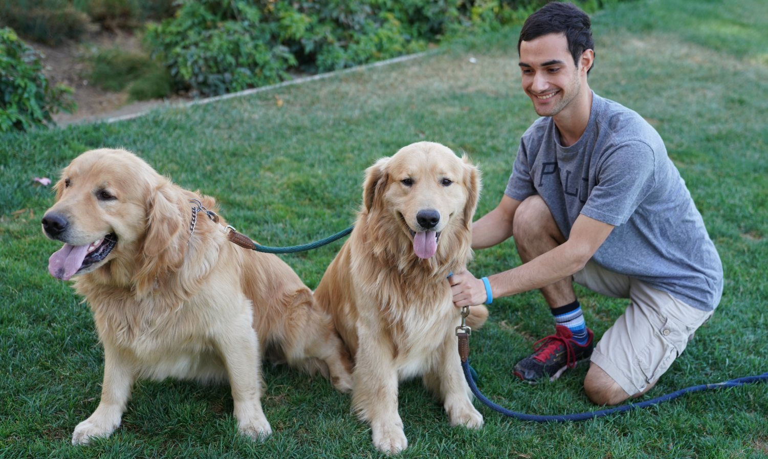 Junior Charlie Atkins & Golden Retrievers Bentley and Frankie