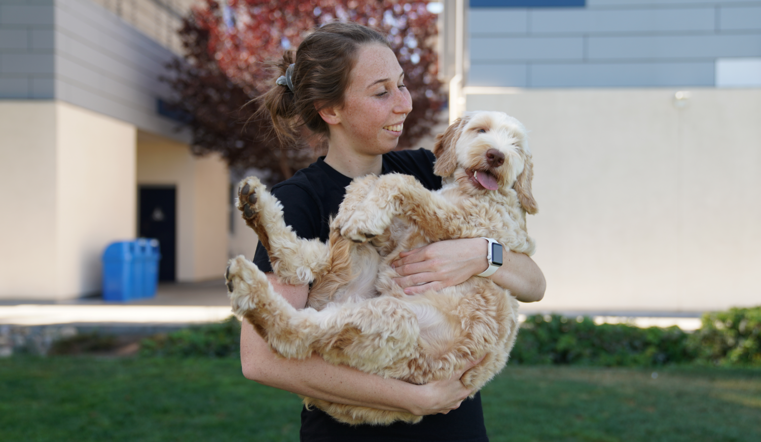 Senior Katrina Arsky & Australian Labradoodle Kaya