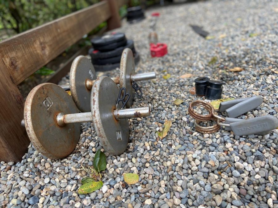 Freshman Logan Kims backyard gym started with his dads rusty old dumbbells. Now, it includes new plate weights, a squat bar and more, which have all helped him to maintain both his physical health and mental positivity during the COVID-19 outbreak.