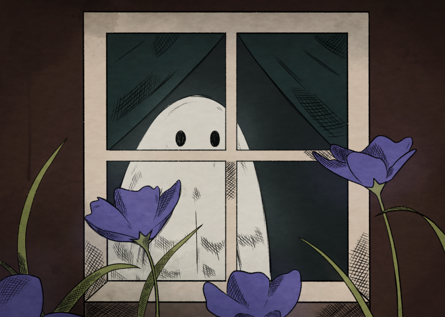 A ghost looking in through a window. Ghosts are real, and dont let scientists tell you otherwise.