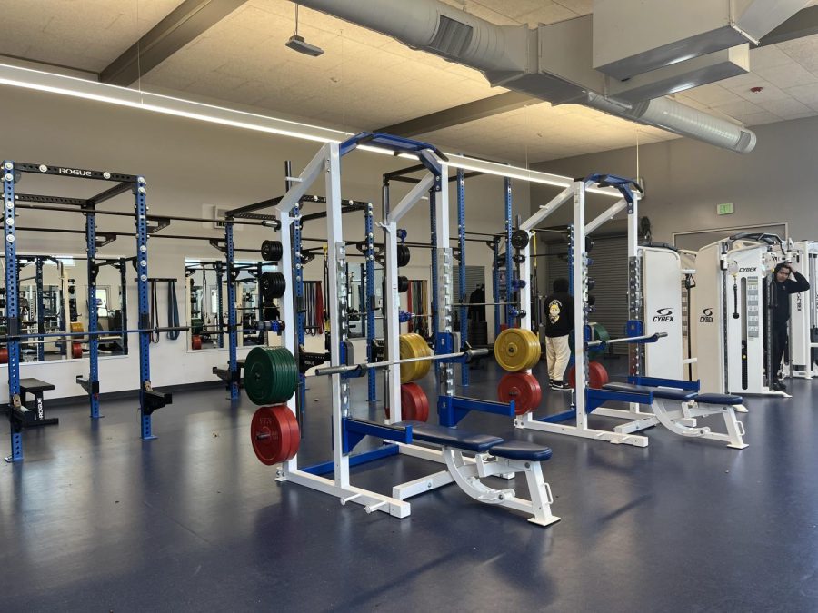 The Physical Education Department will be introducing a new class, Weightlifting, in the 2023–2024 school year. The class is open to students of all physical abilities and will focus on strength and agility training.