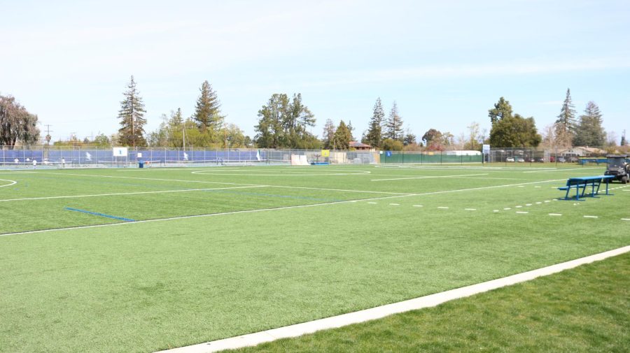 One of the two turf fields at LAHS. Turf fields like these have gained increased scrutiny for potential safety concerns, but its unlikely that theyll be replaced. 