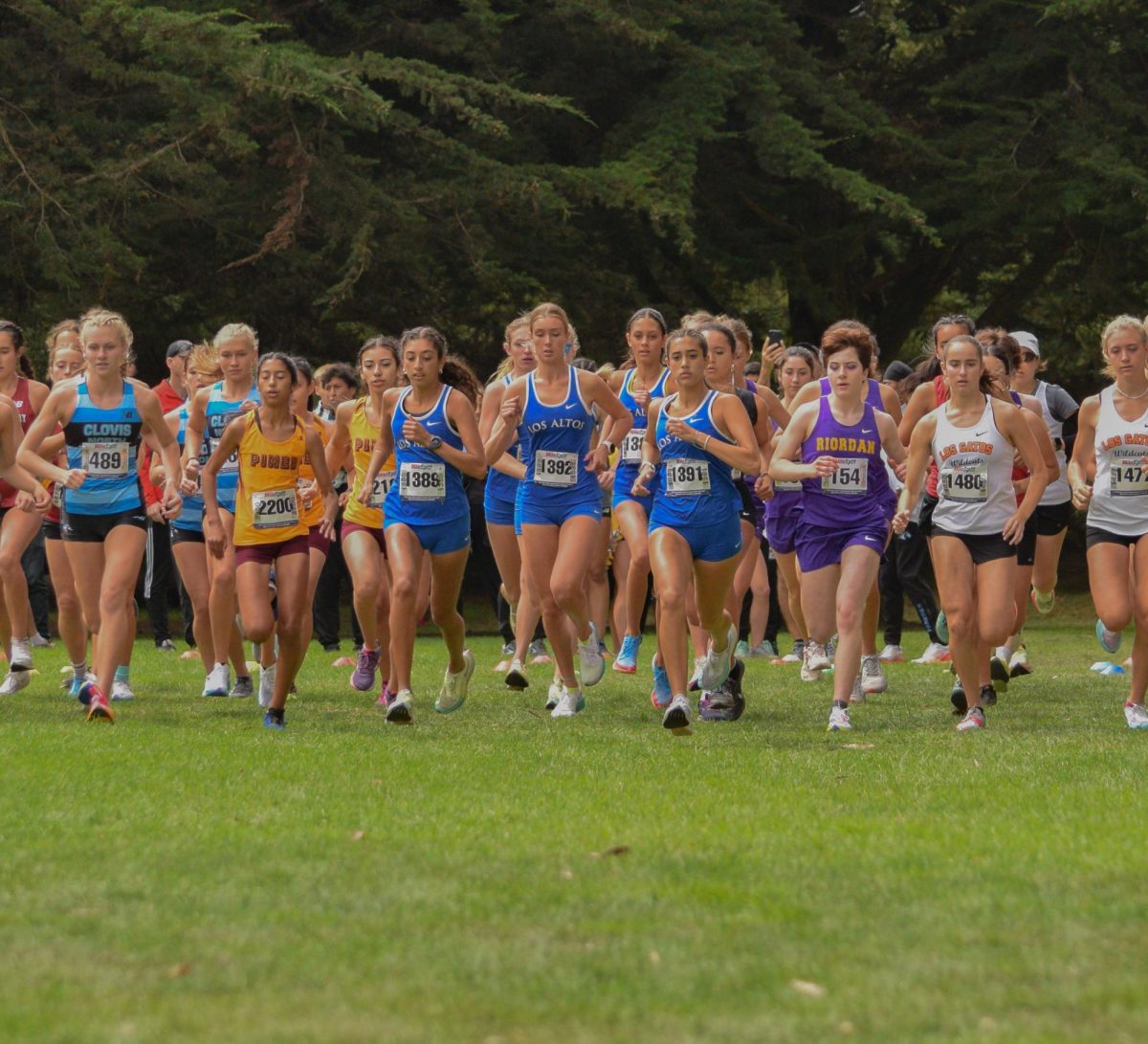 Cross country takes to a flying start at Lowell Invitational The Talon