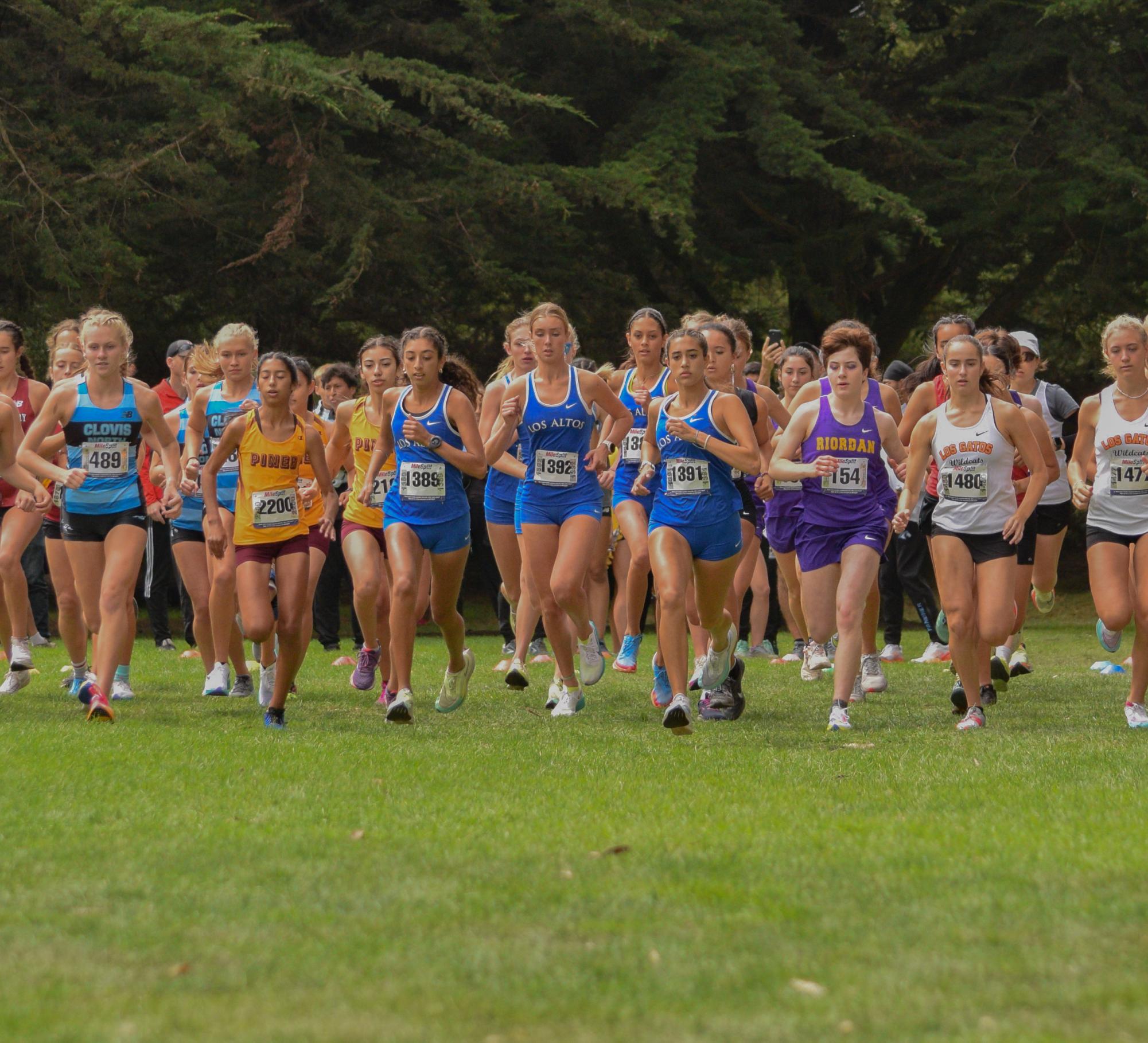 Cross country takes to a flying start at Lowell Invitational