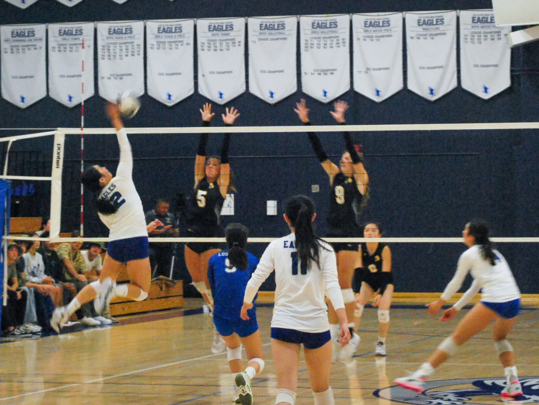 Senior Ally Leong goes in for a kill against two Mountain View defenders.