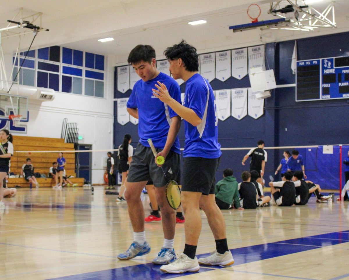Junior Raymond Liu and senior Ben Xu talk mid-game.