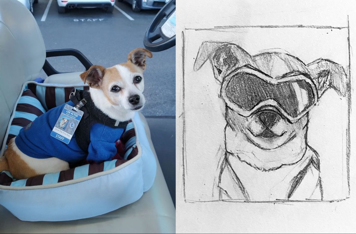 The winning artwork of the NAHS contest (left), drawn by senior Ariana Ruiz, drew inspiration from pictures Julie sent of Dixie (right). Courtesy Christine An and Julie Corzine. 