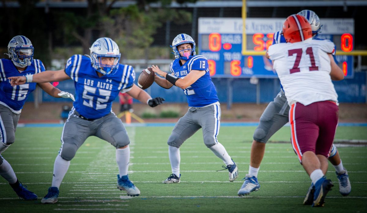 Sophomore Giancarlo Mendoza looks for an open receiver.