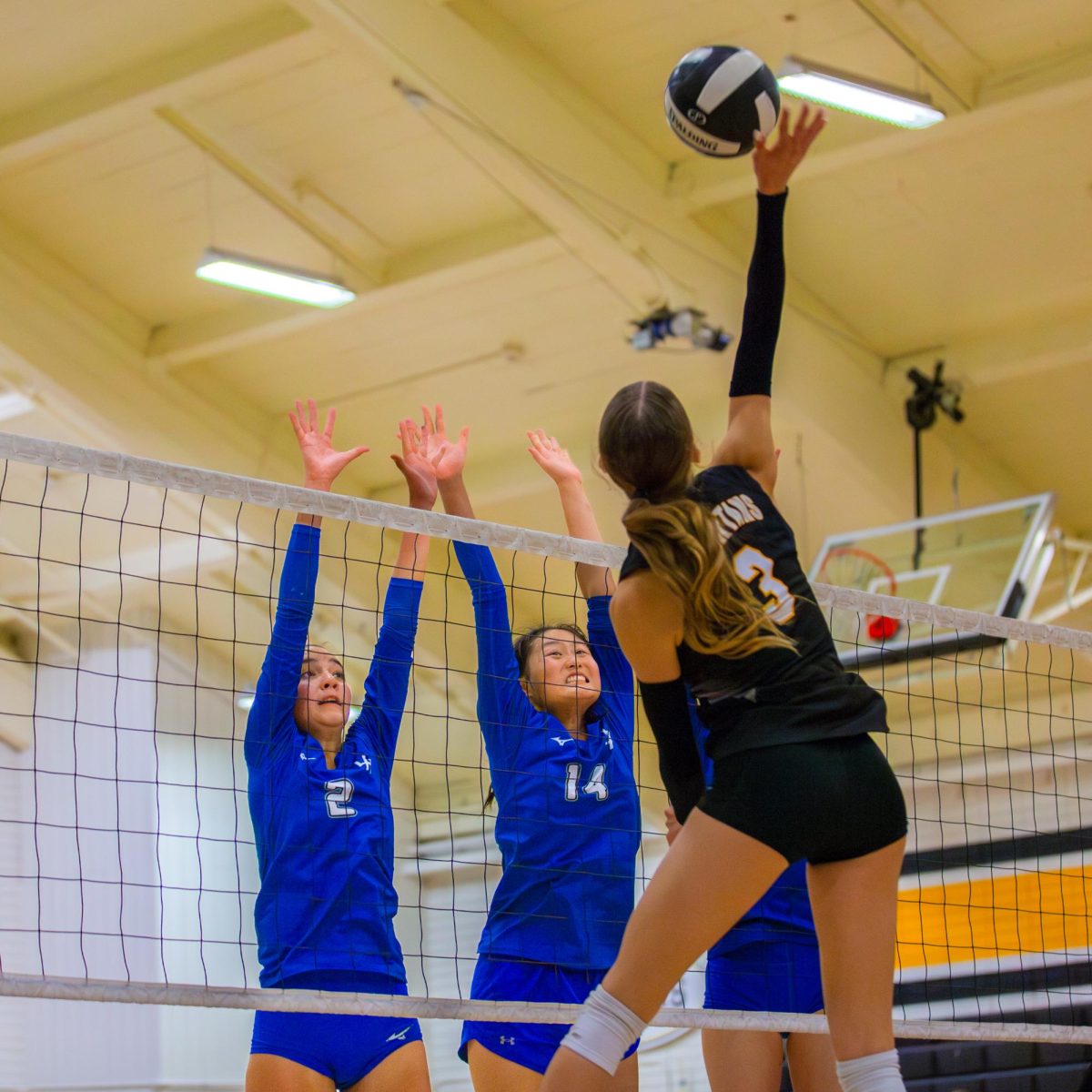 Senior Sophia Costa and sophomore Evelyn Zhang jump to block a hit.