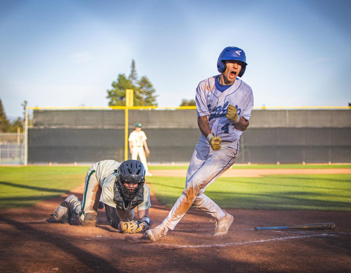 Senior Kai MacQuiddy celebrates during a Palo Alto game during his junior season on varsity boys baseball.