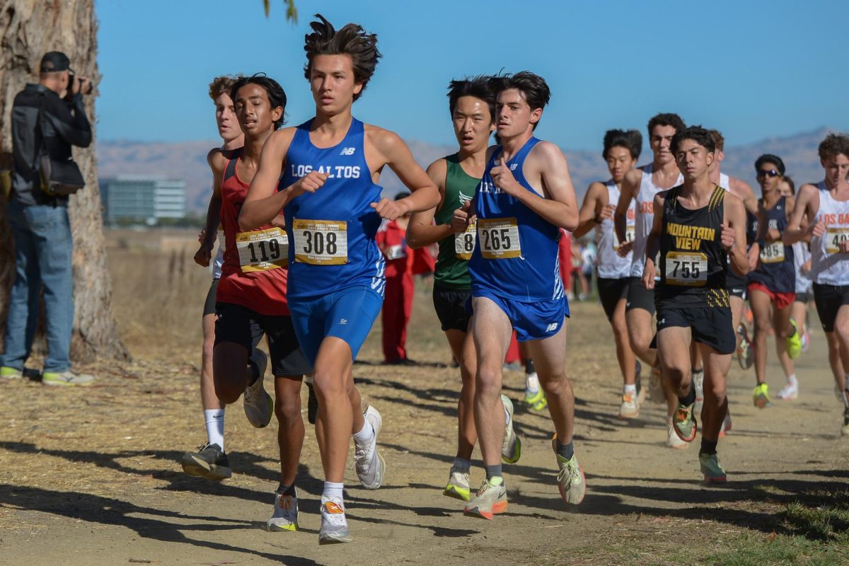 In-Depth: Cross country runs through hardships and success