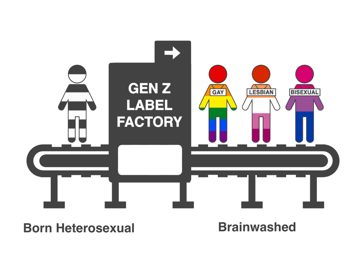 This graphic reflects the myth that Gen Z’s straight people are being “brainwashed” into queerness under forced labels.