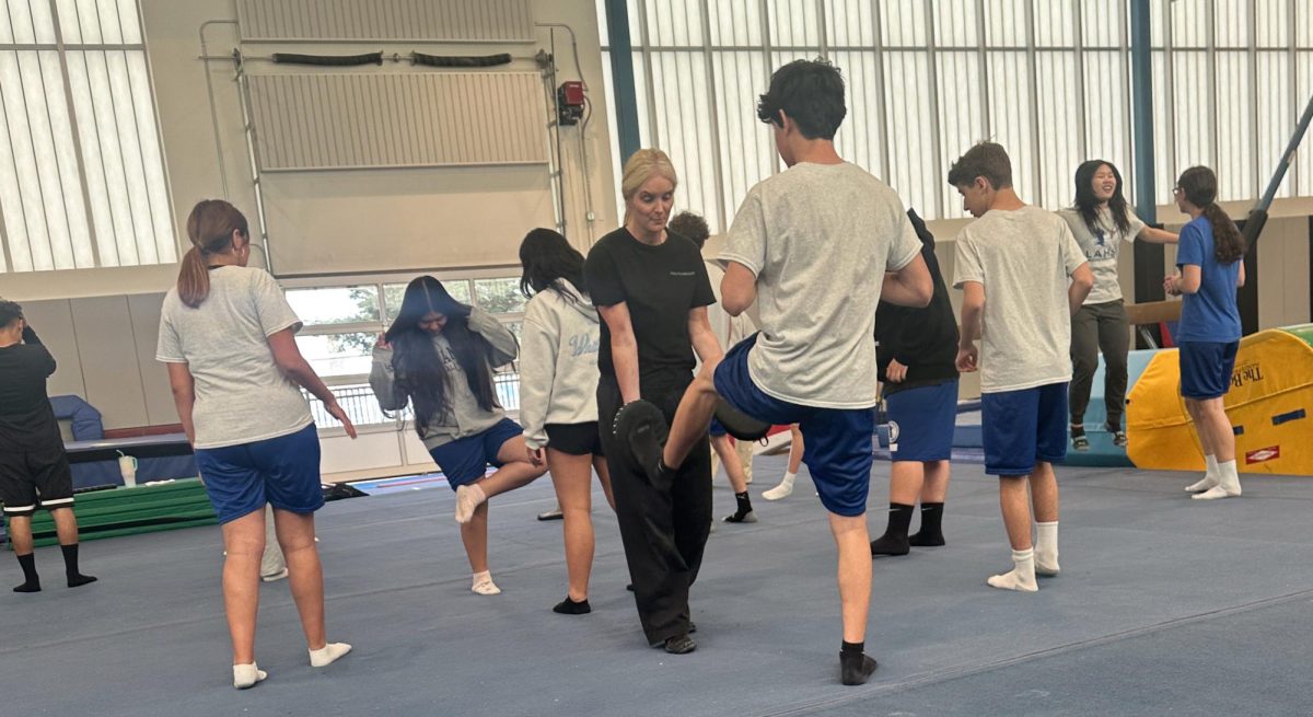 Coaches from Andre Salvage and Associates teaching freshman PE classes the basics of self defense. 