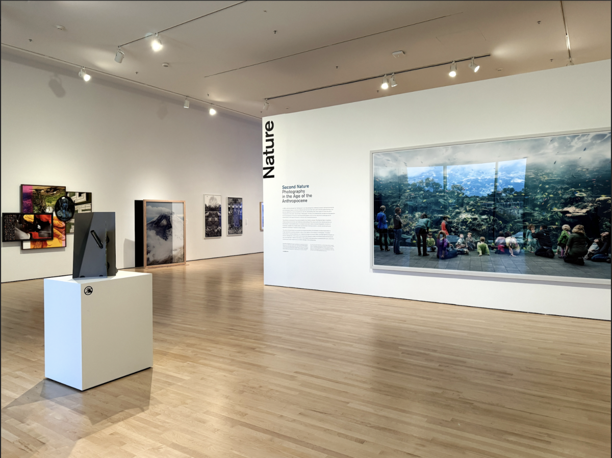 The large photographic spread, “Aquarium” by Thomas Struth (right) opens “Second Nature” at the Cantor