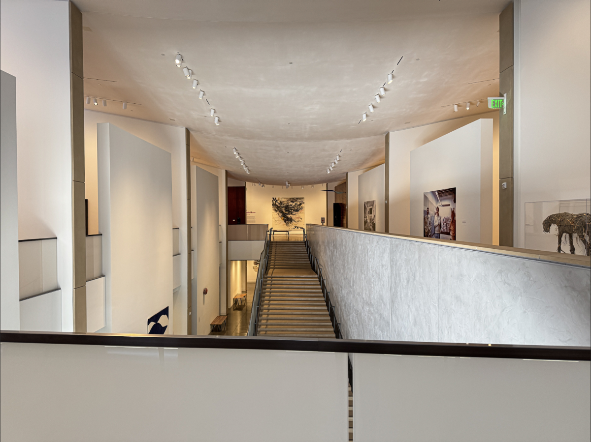 “An Expanded Lens” can be found all on the second floor; to get there, you'll have to take the beautiful, iconic staircase, which has wide steps and spans the length of the building.
