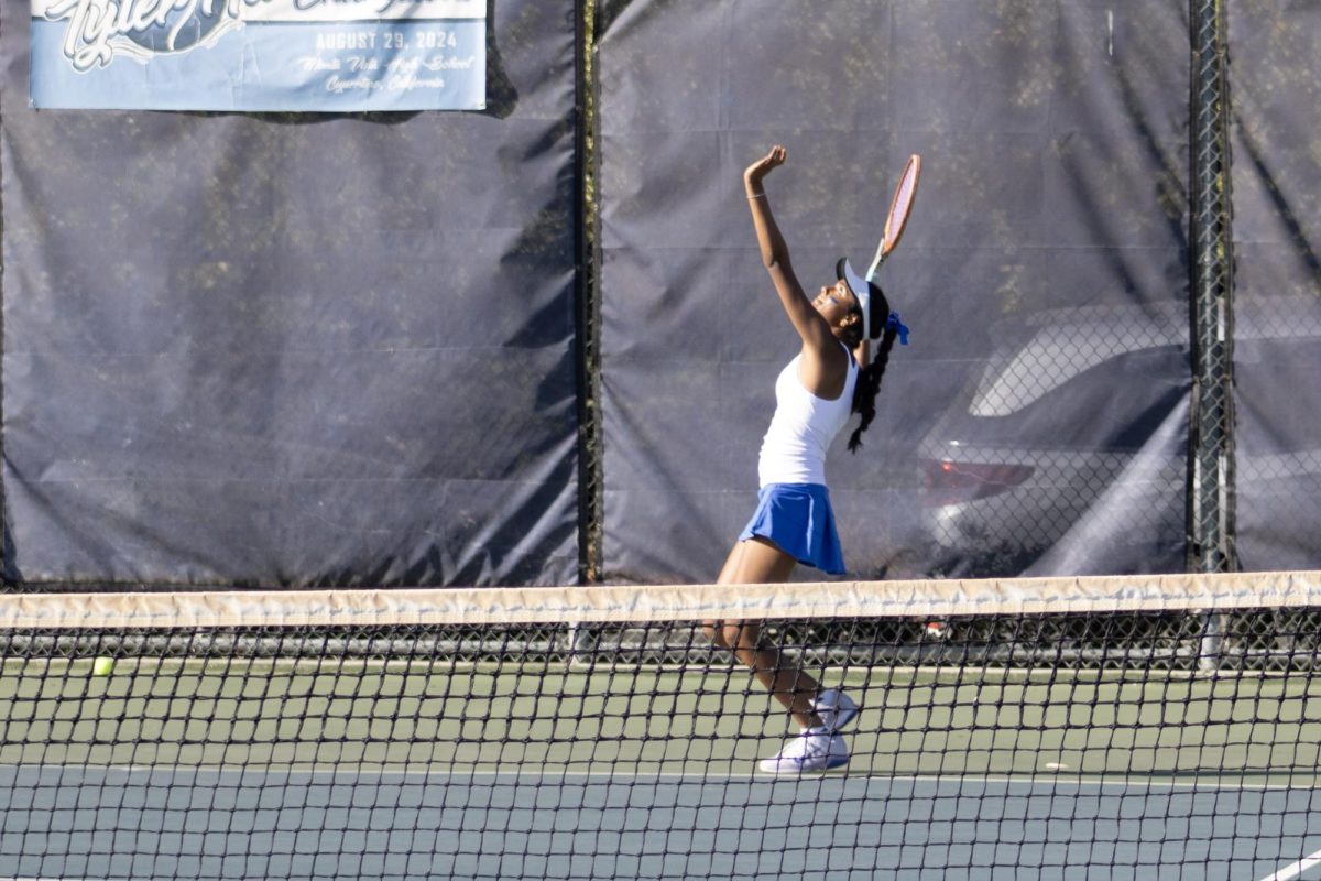 tennis 6 (1)
