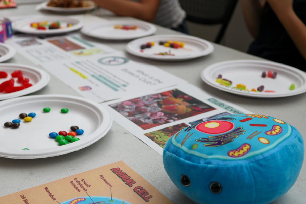 Biotechnology Club uses visuals and candy models to explain the roles of organelles at the STEAM Week student showcase. For over six years, STEAM Week organizers have worked on balancing STEM and art in their annual event to show the importance of creativity in innovation. 