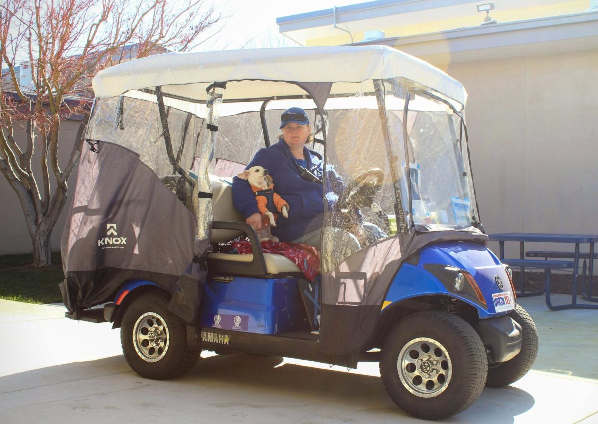 Student Conduct Liaison Julie Corzine poses with newly rescued chihuahua Lacey Grace. Corzine fostered, then adopted Lacey Grace from the San Jose Animal Shelter in November – now, riding shotgun, she takes the place of former golf cart dog, Dixie.

