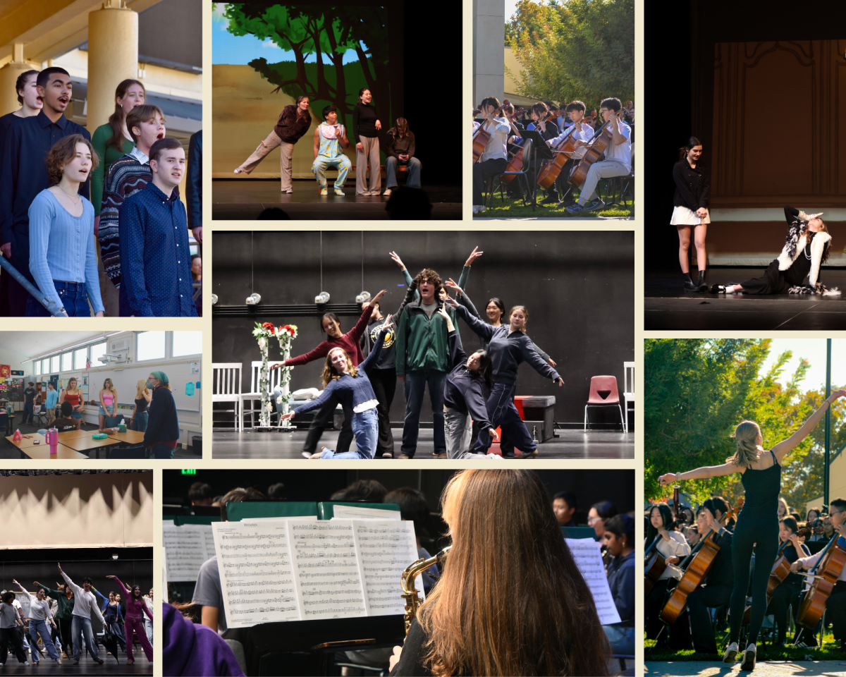 LAHS' Visual and Performing Arts programs reached new heights this year, from acting classes to choirs and visual artists to club performers. 