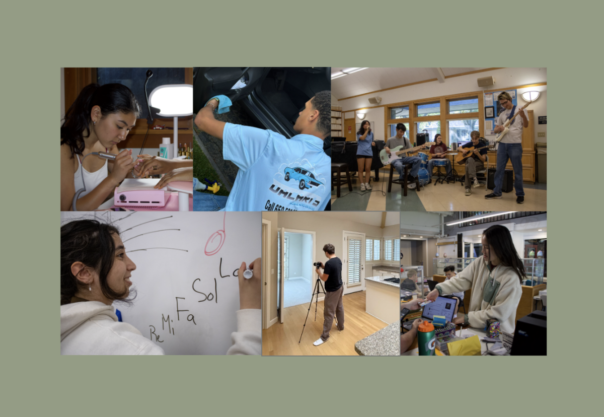 From left to right, top to bottom are Anastasia Marinopoulos, Dacari Newman, Kalico, Mira Sumant, Luca Deck and Carissa Lai. With the wide range of diverse students on the LAHS campus comes a wide range of diverse student jobs.