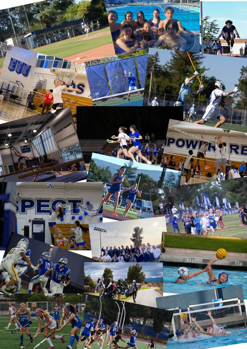 Sports: Year in recap